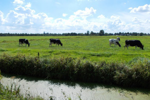 Fractiejaarverslag 2016